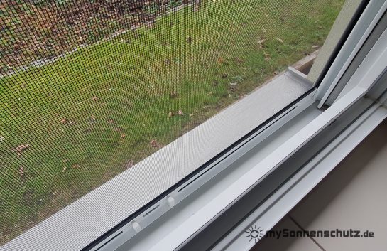 20220203_113502 - WZ