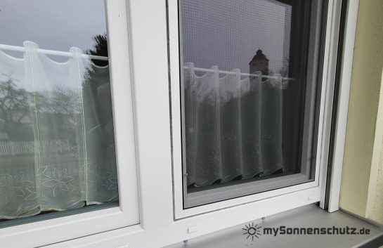 20220203_135606 - WZ