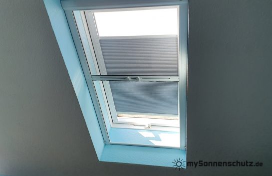 20220329_113130 - WZ