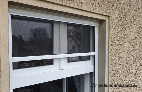 20220421_145935 - WZ