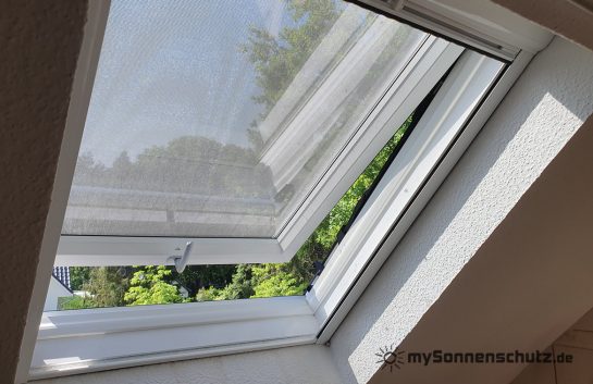 20230606_142011 - WZ