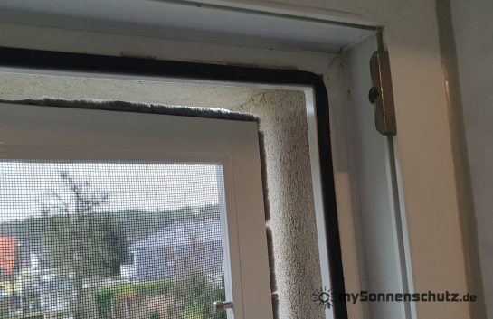 20231123_112239 - WD