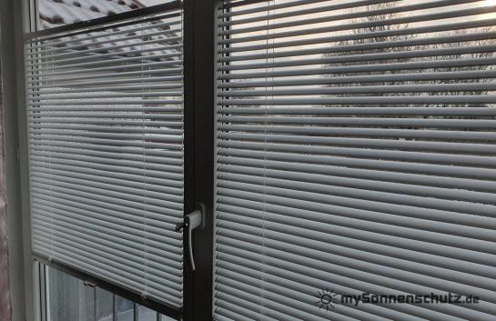 20231208_104140 - WZ
