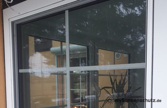 20240115_154812 - WZ (1)