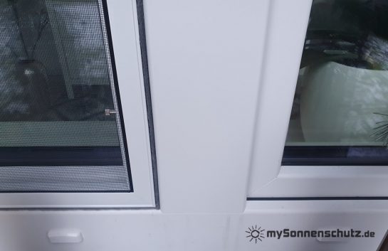 20240115_154812 - WZ (2)